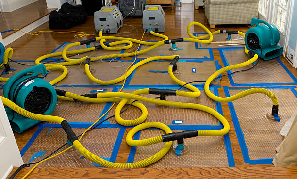 Professional Water Extraction technician working in Frederick, CO